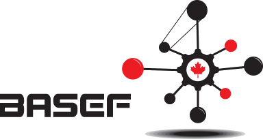 BASEF-Logo-2013-LI.png